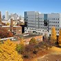 Image result for Tokyo International University New Campus IRL