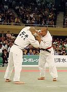 Image result for Japan Sports