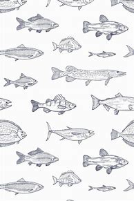 Image result for iPhone 6s Fish Wallpaper