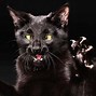 Image result for Evil Cat Smile