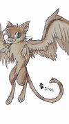 Image result for Cats with Wings in Real Life