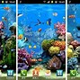 Image result for Live Fish Wallpaper iPhone 6s