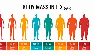 Image result for BMI Cartoon Image