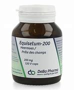 Image result for equiset�cep