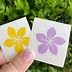 Image result for Plumeria Decal