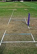 Image result for Cricket Bat and Stumps