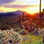 Image result for Arizona Sunset with Sun Rays