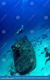 Image result for Sunken Ship Bodies