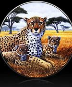 Image result for Cheetah Steering Wheel Cover