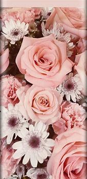 Image result for Pink Rose Phone Wallpaper