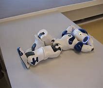 Image result for Humanoid Programmable Robot