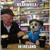Image result for Irish Christmas Memes