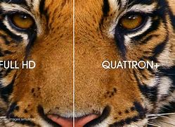 Image result for Sharp AQUOS Quattron