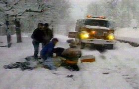 Image result for New York Blizzard 1993