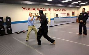 Image result for What Are Pro Martial Arts Moves