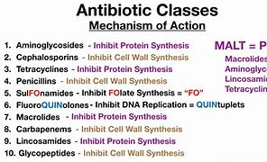Image result for All Types of Antibiotics