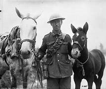 Image result for World War 1 Australian Soldiers