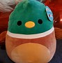 Image result for Lots of Squishmallows