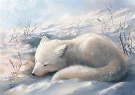 Image result for Chibi Arctic Fox