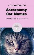 Image result for Boy Cat Names