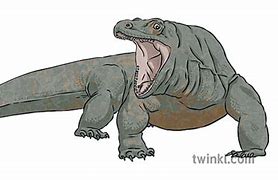 Image result for Biggest Lizard Komodo Dragon