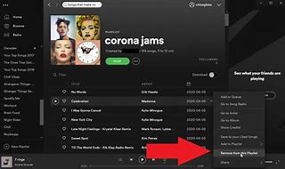 Image result for How Do You Make a Playlist On Spotify