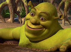 Image result for Shrek Funny Face