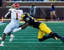 Image result for Michigan Football Signs