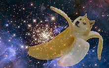 Image result for Galaxy Doge