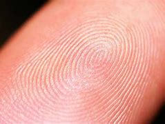Image result for Fingerprint Forensics