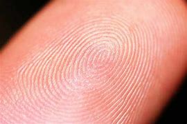 Image result for Fingerprinting
