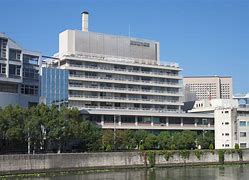 Image result for University of Tokyo Hospital Cranes