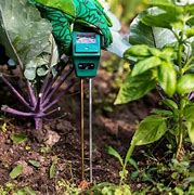 Image result for Dry Measuring Devices