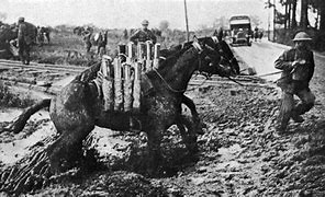 Image result for WW1 Dead Horse Corner