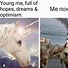 Image result for Sad Unicorn Meme