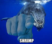 Image result for Jay-Z Fish Meme