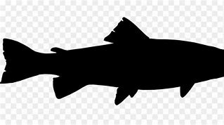 Image result for Rainbow Trout Silhouette