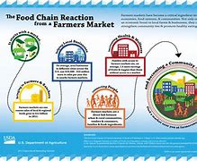 Image result for Farmers Market Facts