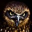 Image result for Scary Owl