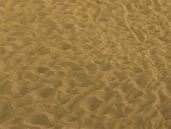 Image result for Beach Ball Texture