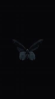 Image result for Lock Screen Laptop Butterfly Black and White