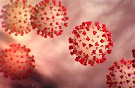 Image result for Tonga Coronavirus