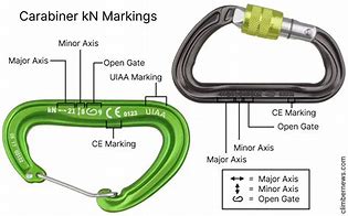 Image result for Types of Carabiner Clip