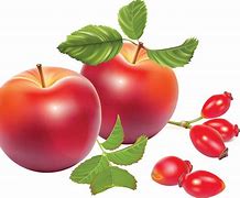 Image result for Apple Cartoon Png