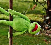 Image result for Kermit the Frog Puppet