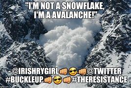 Image result for Avalanch Jokes