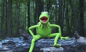 Image result for Funny Kermet the Frog Des Tops