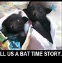 Image result for Bat Meme I AM the Darkness