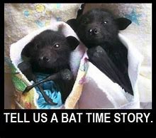 Image result for Crazy Bat Meme