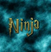 Image result for Ninja Name Logo